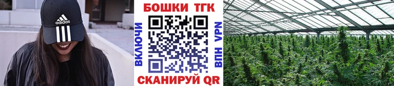 Виды наркоты Новокубанск Гашиш Бошки Шишки Альфа ПВП MEGA ссылки Cocaine Меф