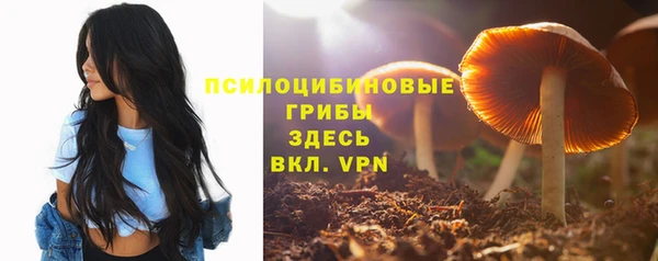 марки lsd Нязепетровск