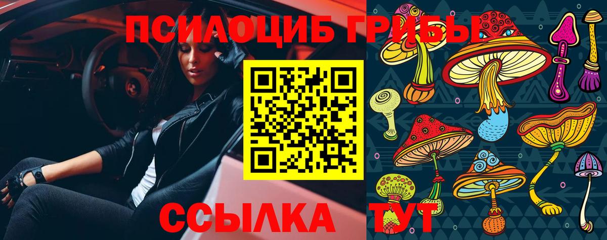 Галлюциногенные грибы GOLDEN TEACHER Новокубанск