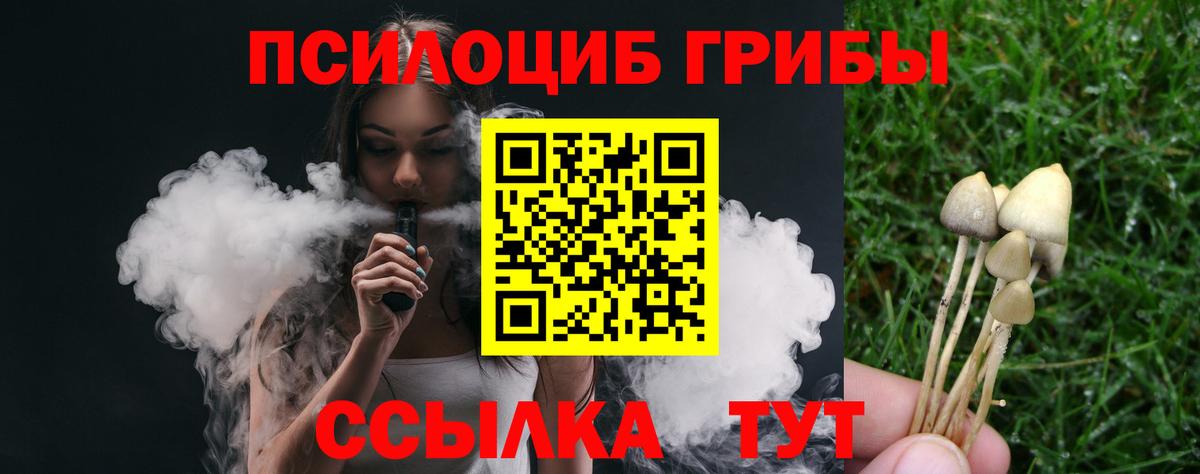 Псилоцибиновые грибы мицелий Новокубанск