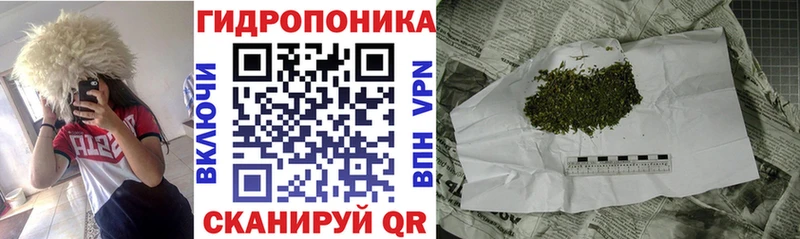 гидра зеркало Новокубанск Бошки Шишки OG Kush